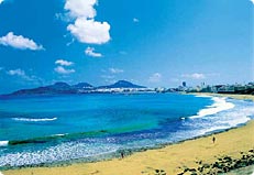 Fly til Gran Canaria