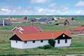 Vejlby Klit